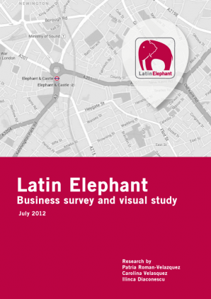 Latin Elephant Business Survey