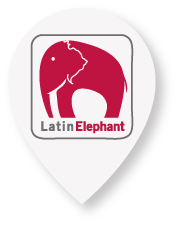 Latin Elephant
